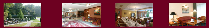 HOTEL AS ZAGREB, CROATIA - luxury apartments, rooms, suites, meetings, events, weddings, accomodation